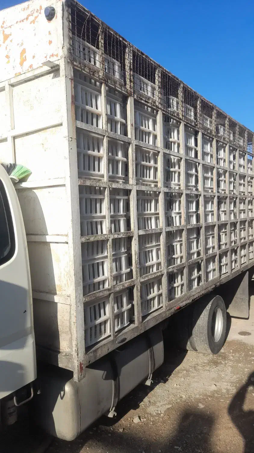 اطاق مرغی|ماشین‌آلات صنعتی|خوی, |دیوار