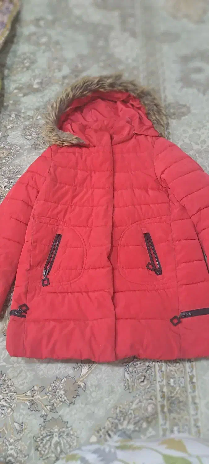 کاپشن دخترانه مناسب ۱۱سال|لباس|سقز, |دیوار