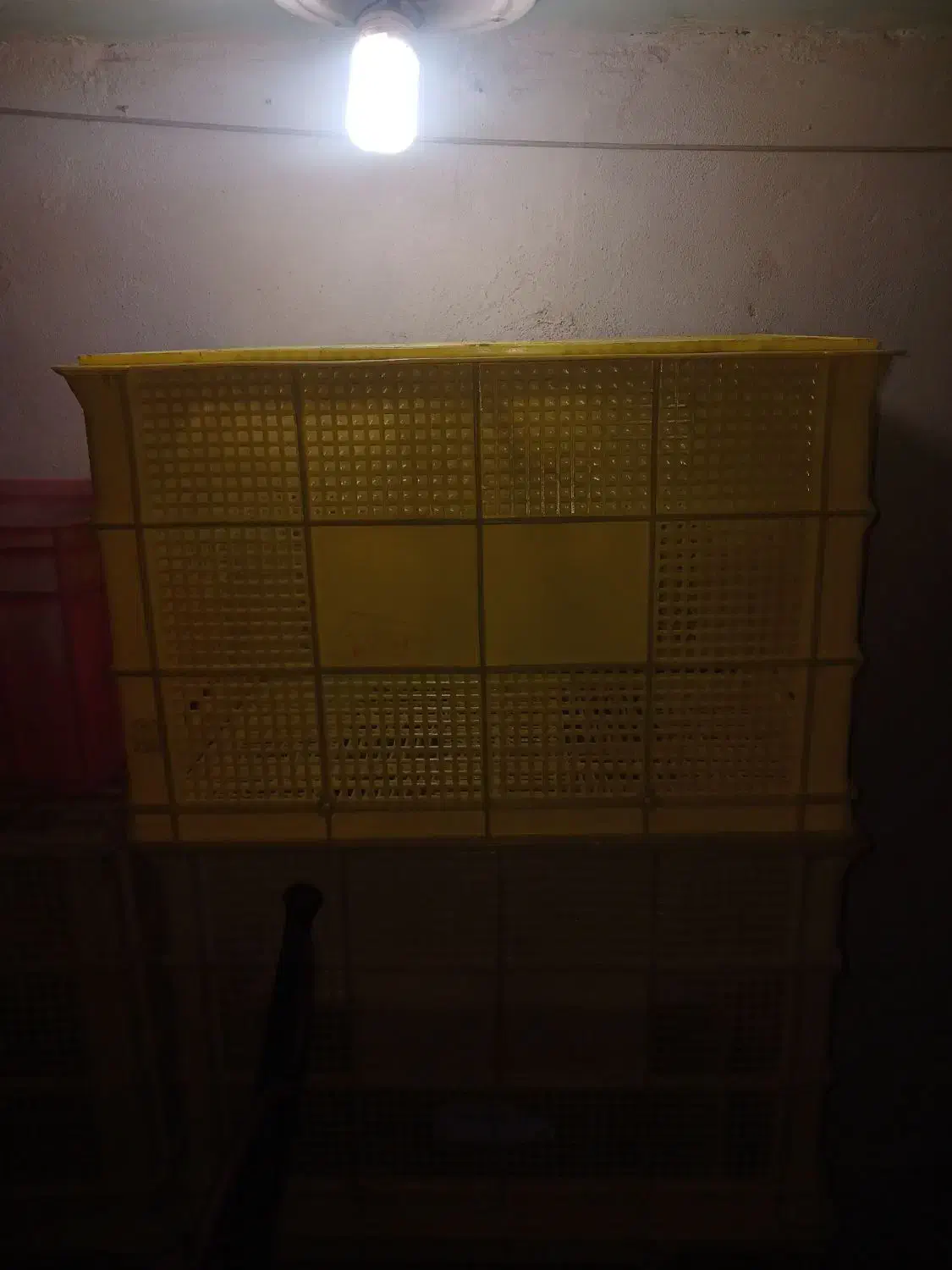 سبد بزرگ پلاستیکی|فروشگاه و مغازه|تهران, جوادیه|دیوار