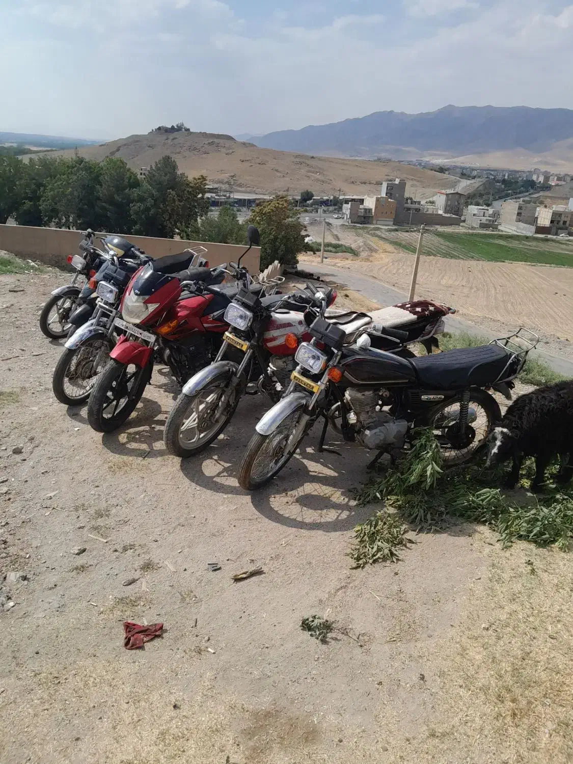 موتور مزایده|موتورسیکلت|نهاوند, |دیوار