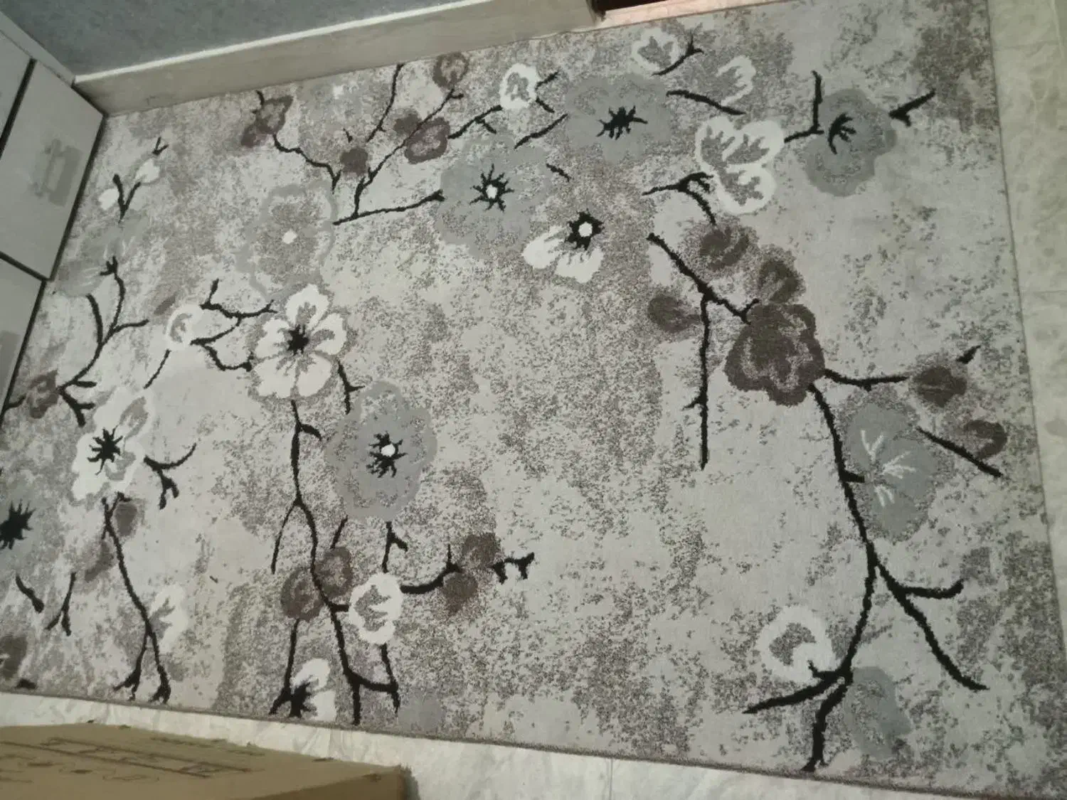 فرش ۴ متری|فرش|الوند, |دیوار