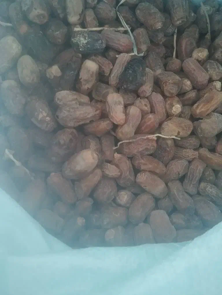 خرما فروشی|عمده‌فروشی|ایرانشهر, |دیوار