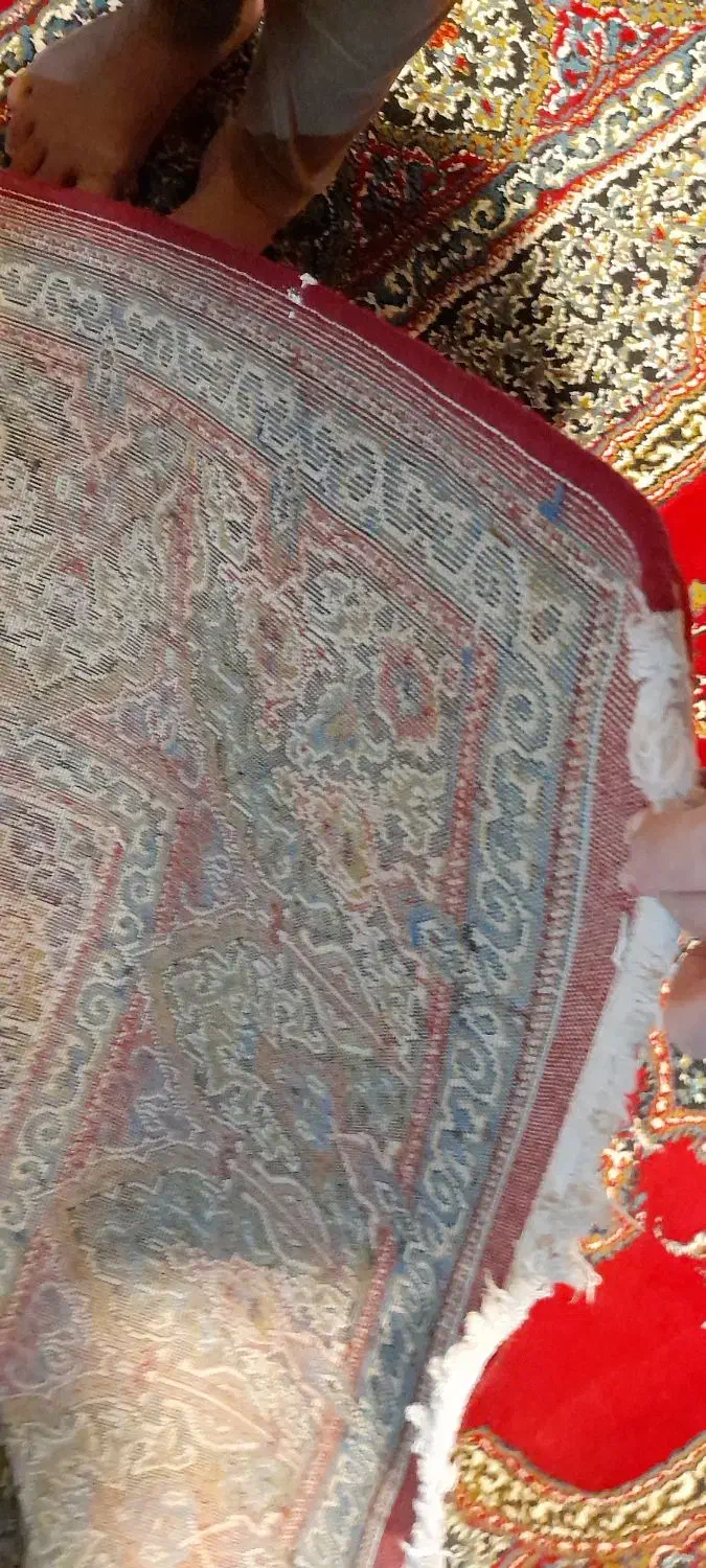 فرش .فرش ۶متری|فرش|رشت, عینک|دیوار