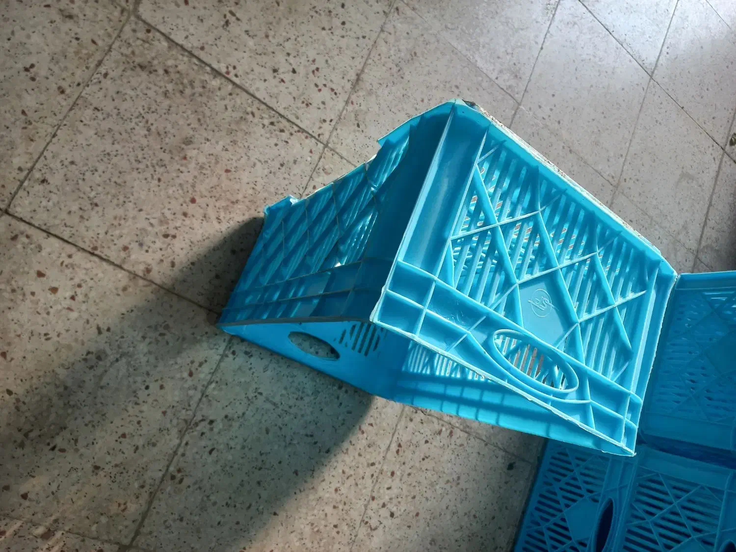 سبد مرغ|ظروف نگهدارنده، پلاستیکی، یک‌بارمصرف|رامند, |دیوار