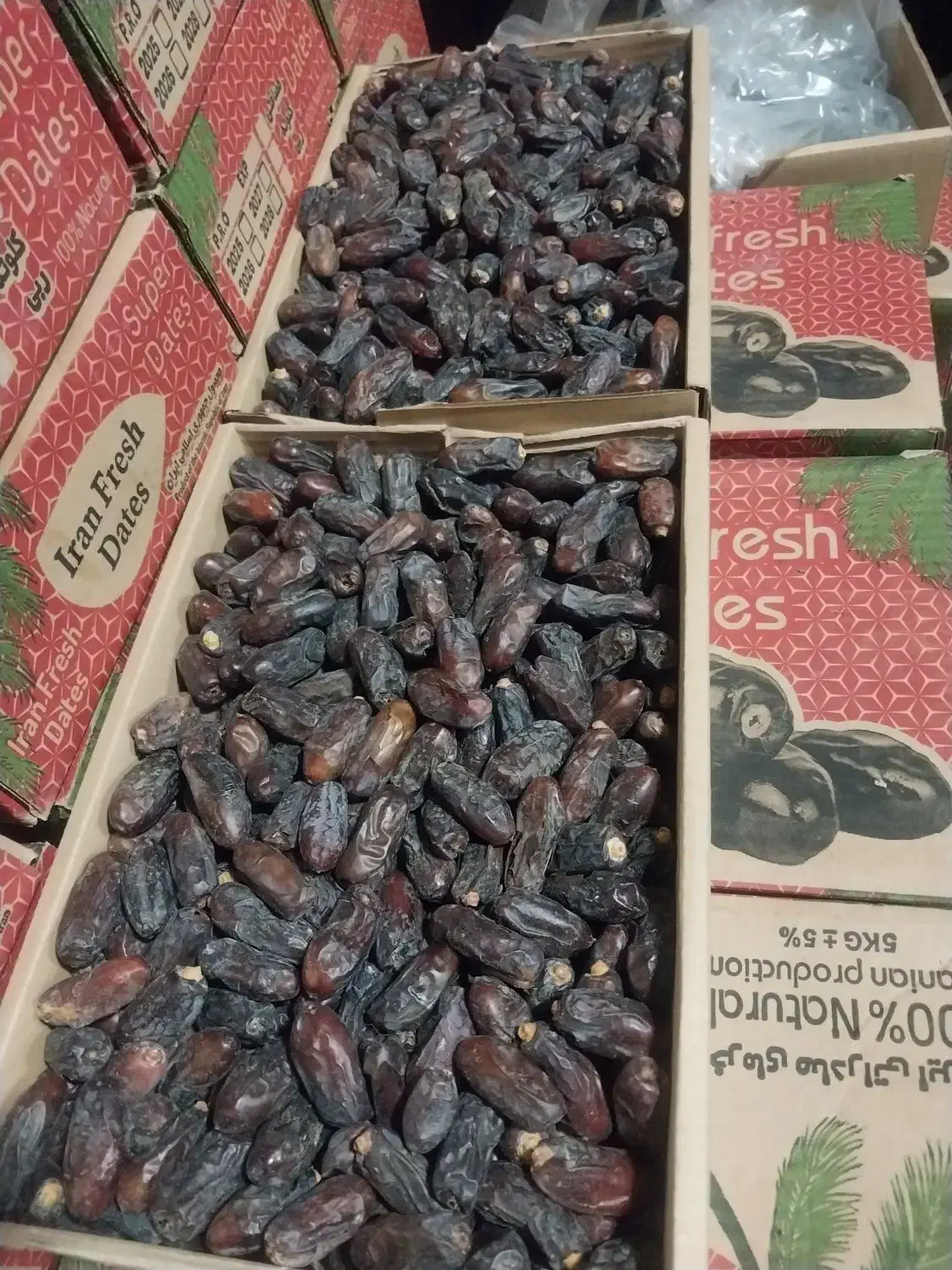 خرماربی وزرداموجود|خوردنی و آشامیدنی|قائم‌شهر, |دیوار