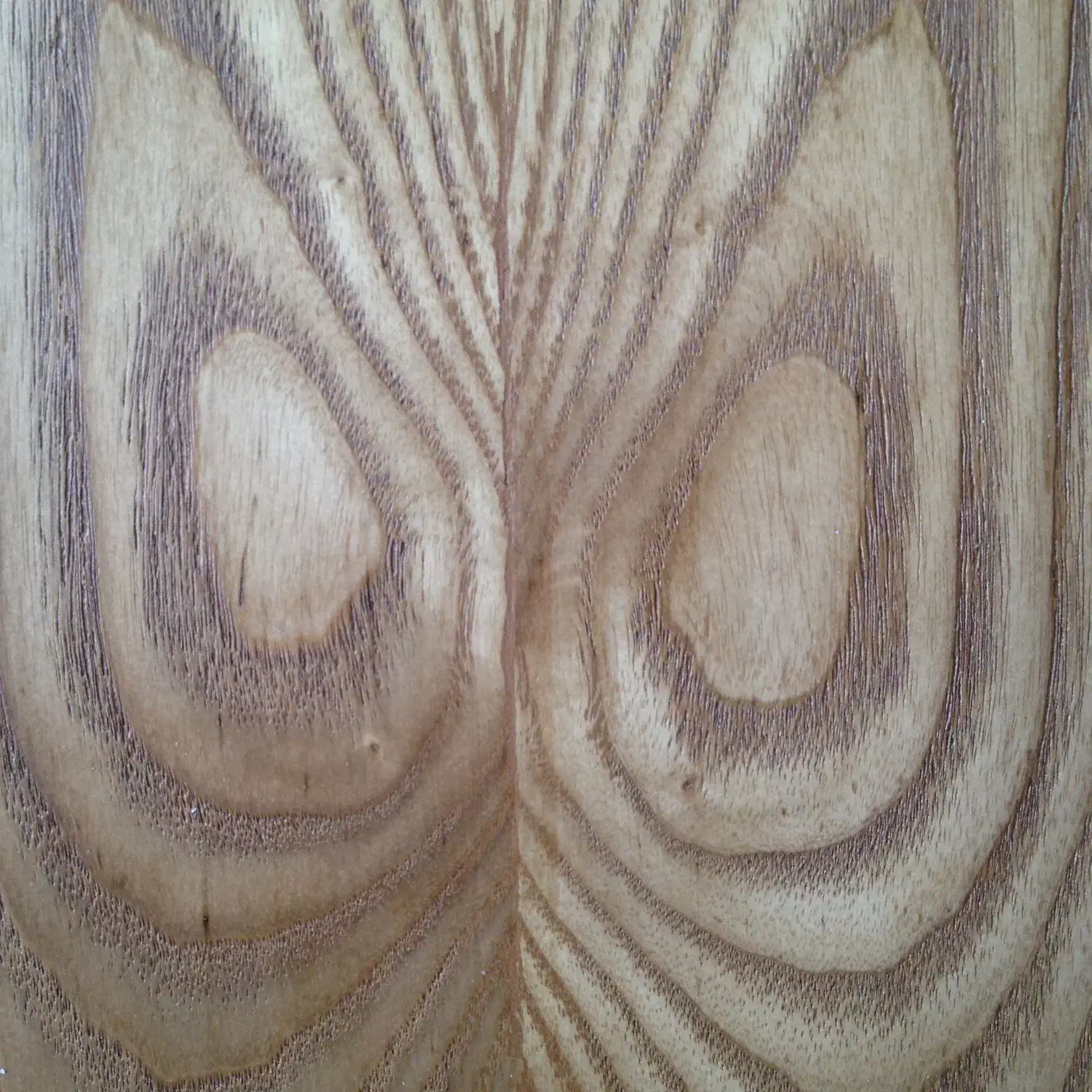 خدمات رنگ‌کاری|خدمات پیشه و مهارت|شیراز, کوشک میدان|دیوار