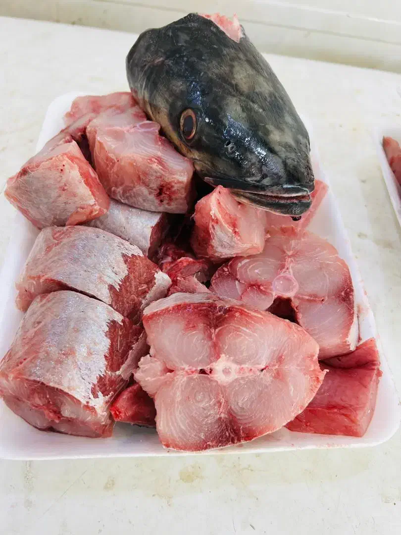 پخش ماهی دریایی و پرورشی درجه یک|ماهی|اهواز, کمپلو جنوبی|دیوار