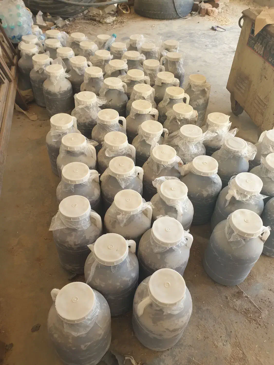 خرما بفروشی|خوردنی و آشامیدنی|ایرانشهر, |دیوار