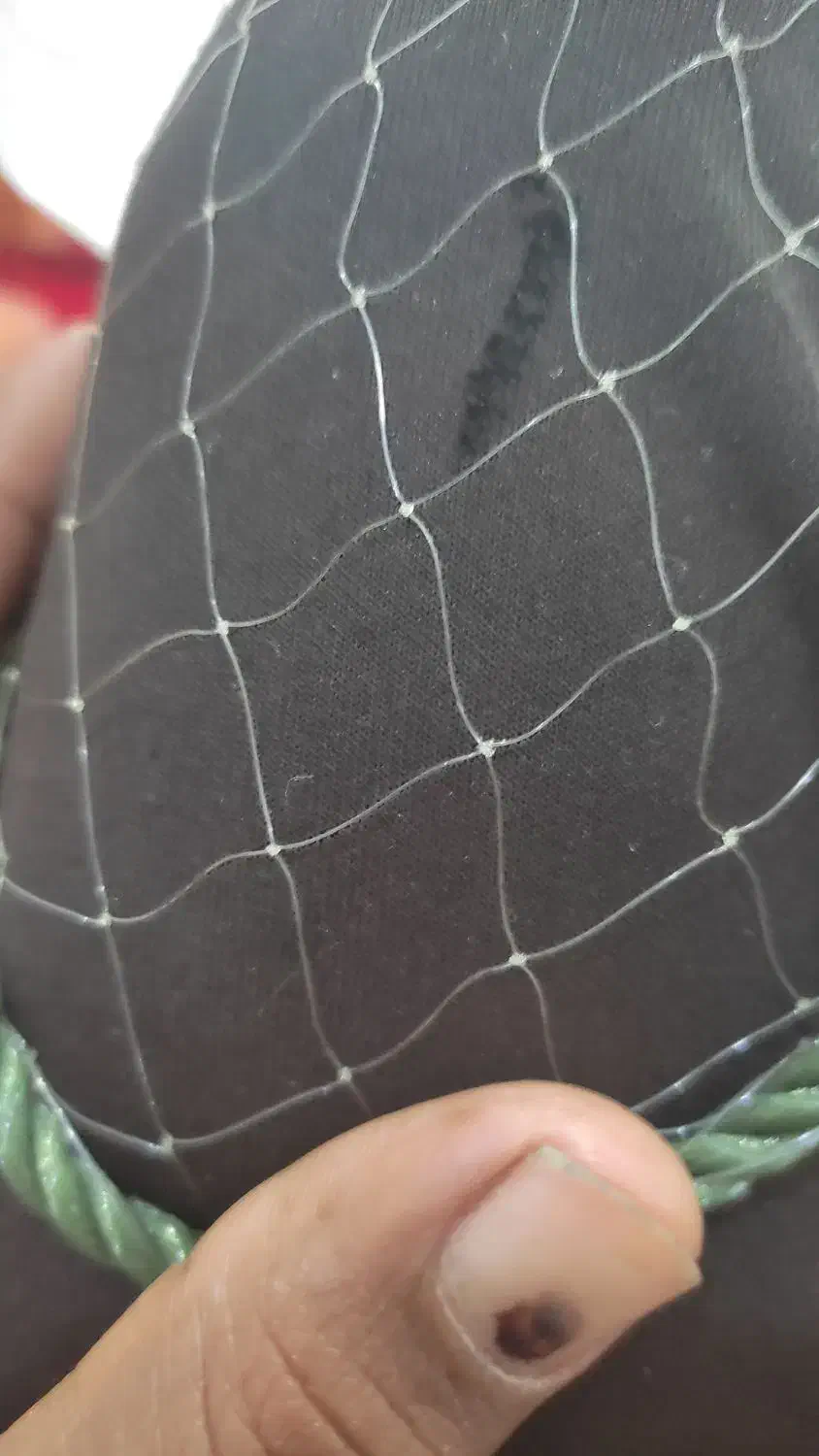 تور ماهیگیری حشینه|ماهیگیری|چغادک, |دیوار