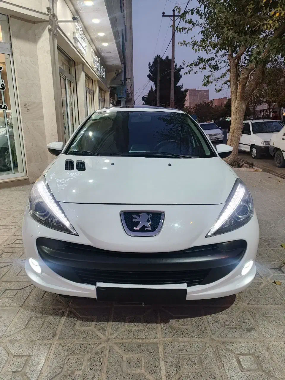 ۲۰۷ پانا ۱۴۰۰|خودرو سواری و وانت|مشهد, الهیه|دیوار