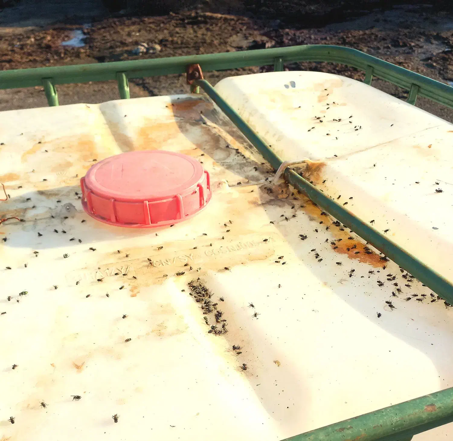 سمپاشی دامیاران مرکز تخصصی سمپاشی و ریشهکنی حشرات|خدمات نظافت|مشهد, شهرک رازی (شهرک غرب)|دیوار