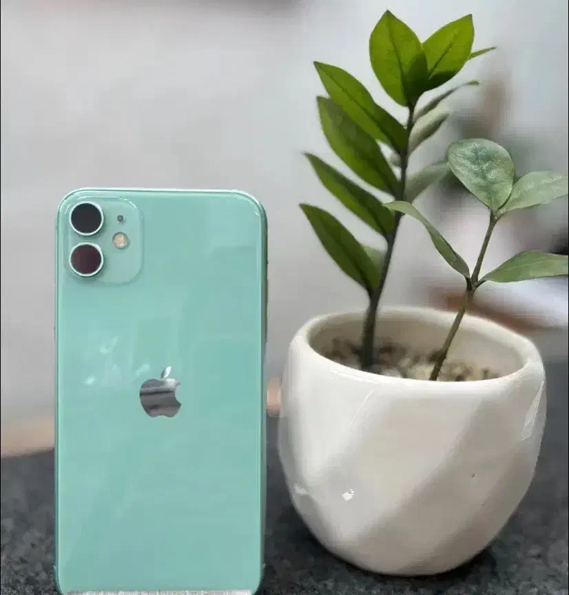 ایفون ۱۱نرمال ۱۲۸گیگ|موبایل|شیراز, پودنک|دیوار