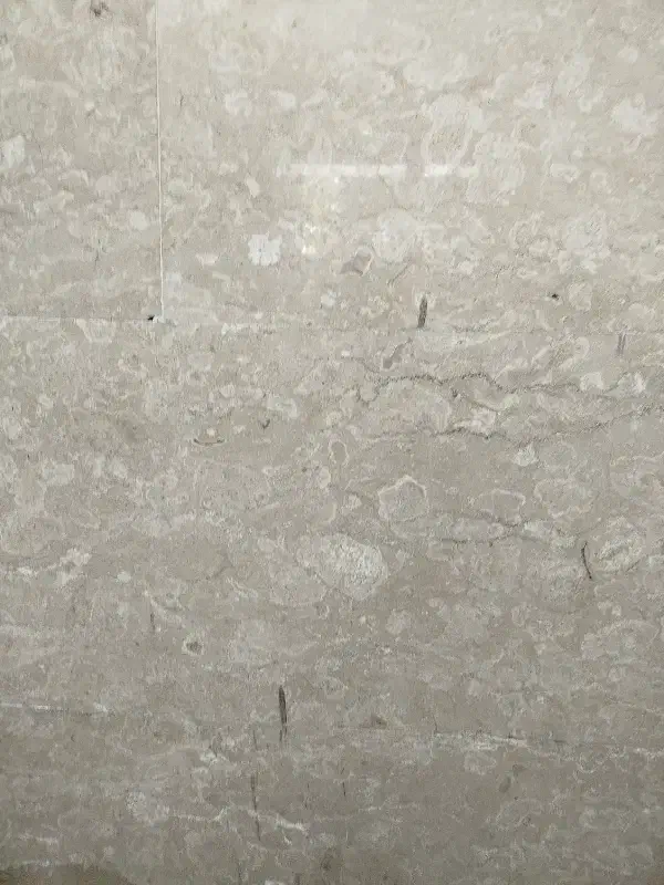 اجاره مغازه|اجارهٔ مغازه و غرفه|مشهد, باغ فراگرد|دیوار