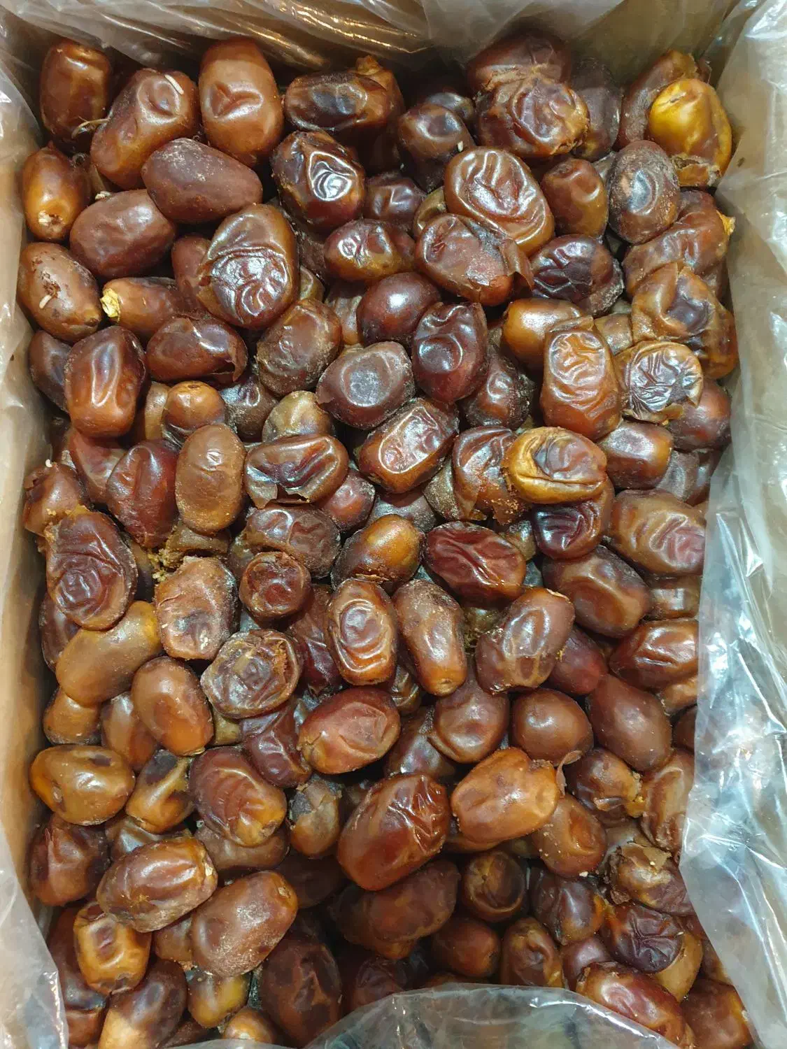 خرما ارزون|حراج|مشهد, سپاد|دیوار