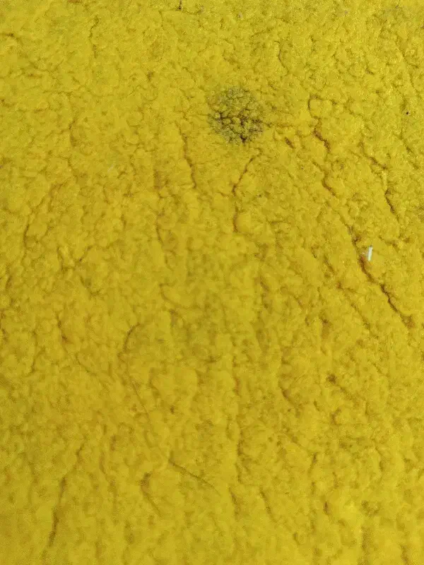 فرش ۳متری|فرش|زاهدان, |دیوار