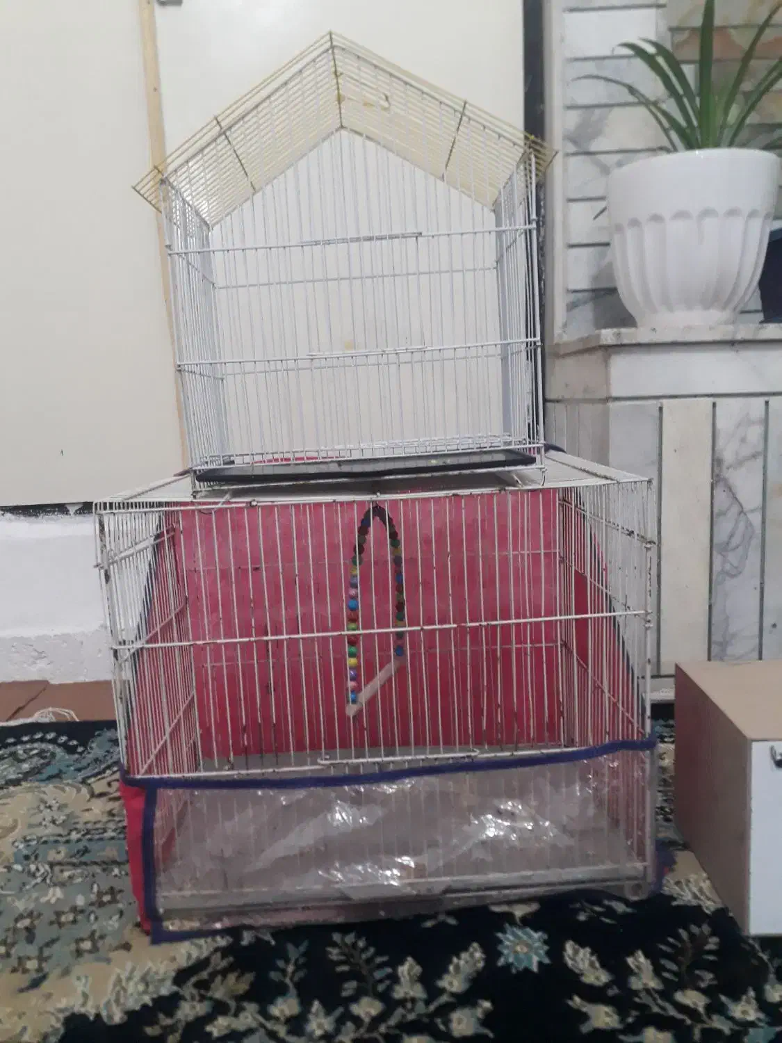 قفس و باکس|لوازم جانبی حیوانات|تربت‌حیدریه, حسنی بالا|دیوار