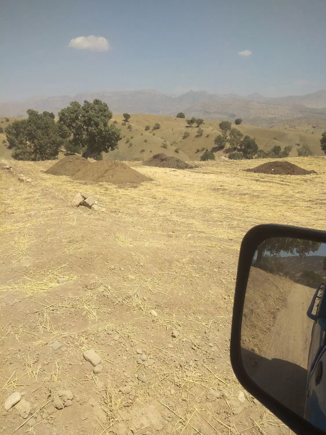 یک نیسان کود درجه ۱|خدمات باغبانی و درختکاری|چگنی, |دیوار