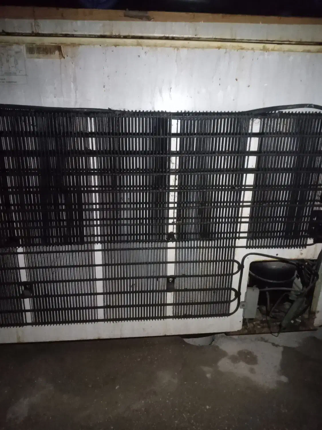 فریزر صندوقی|یخچال و فریزر|اهواز, ملاشیه|دیوار