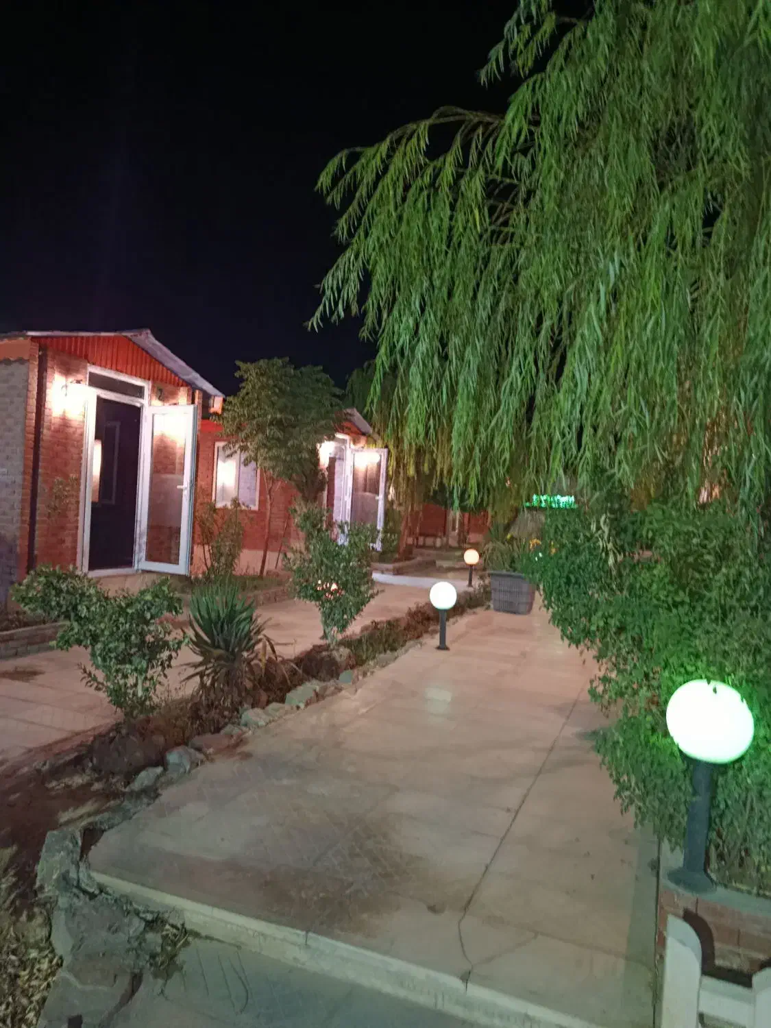 به یک  خانم جهت همکاری در کافه نیازمندیم|استخدام خدمات فروشگاه و رستوران|شیروان (خراسان), |دیوار