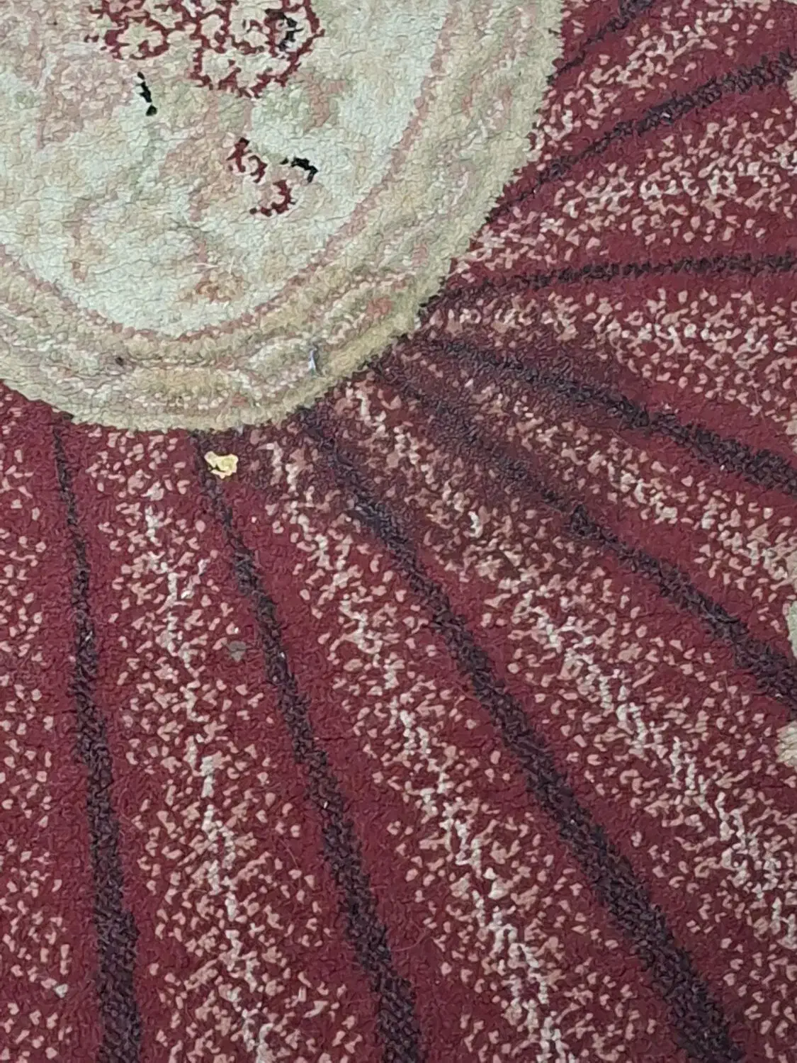 کناره|فرش|تهران, زنجان جنوبی|دیوار