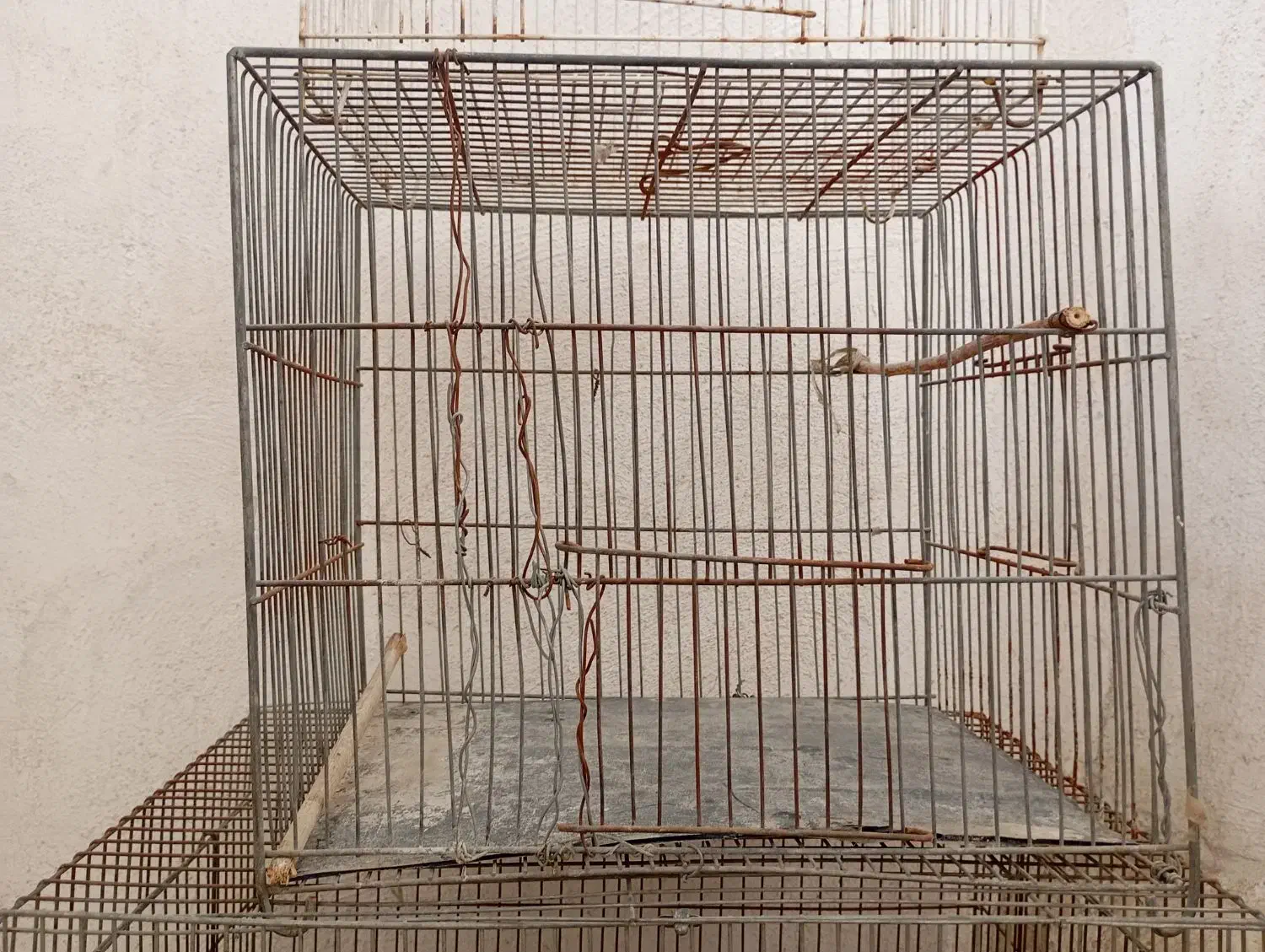 قفس|لوازم جانبی حیوانات|مشهد, فدک|دیوار