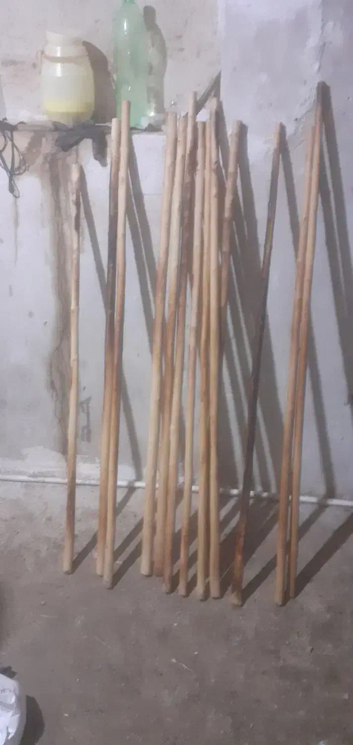 چوب دستی|کوهنوردی و کمپینگ|اردبیل, |دیوار