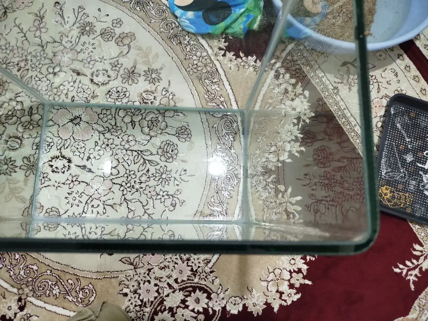 فروش اکواریوم|ماهی|نقده, |دیوار