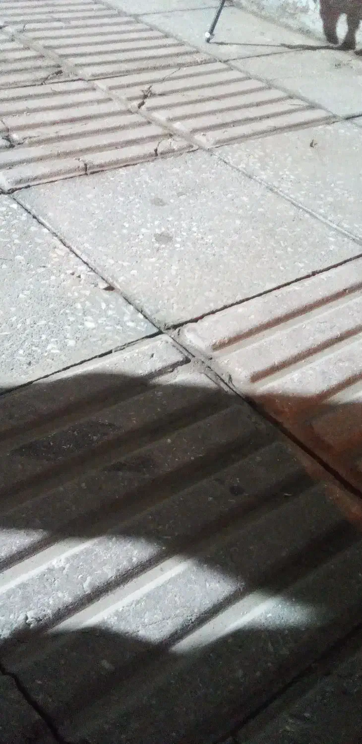 زمین برای گل خانه|فروش دفتر صنعتی، کشاورزی، تجاری|بیرانوند, |دیوار