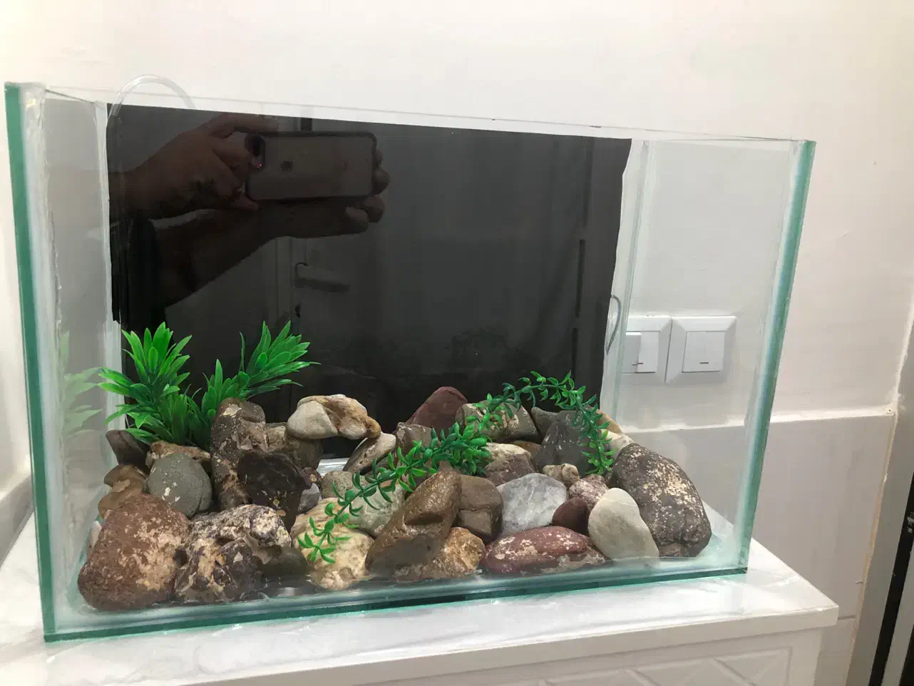 اکواریوم|ماهی|سنندج, |دیوار