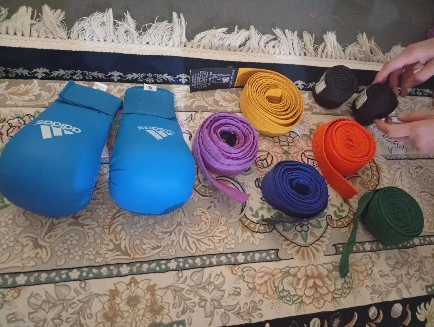 چند نمونه ابزار ورزشی|تجهیزات ورزشی|شیراز, قلعه نو|دیوار