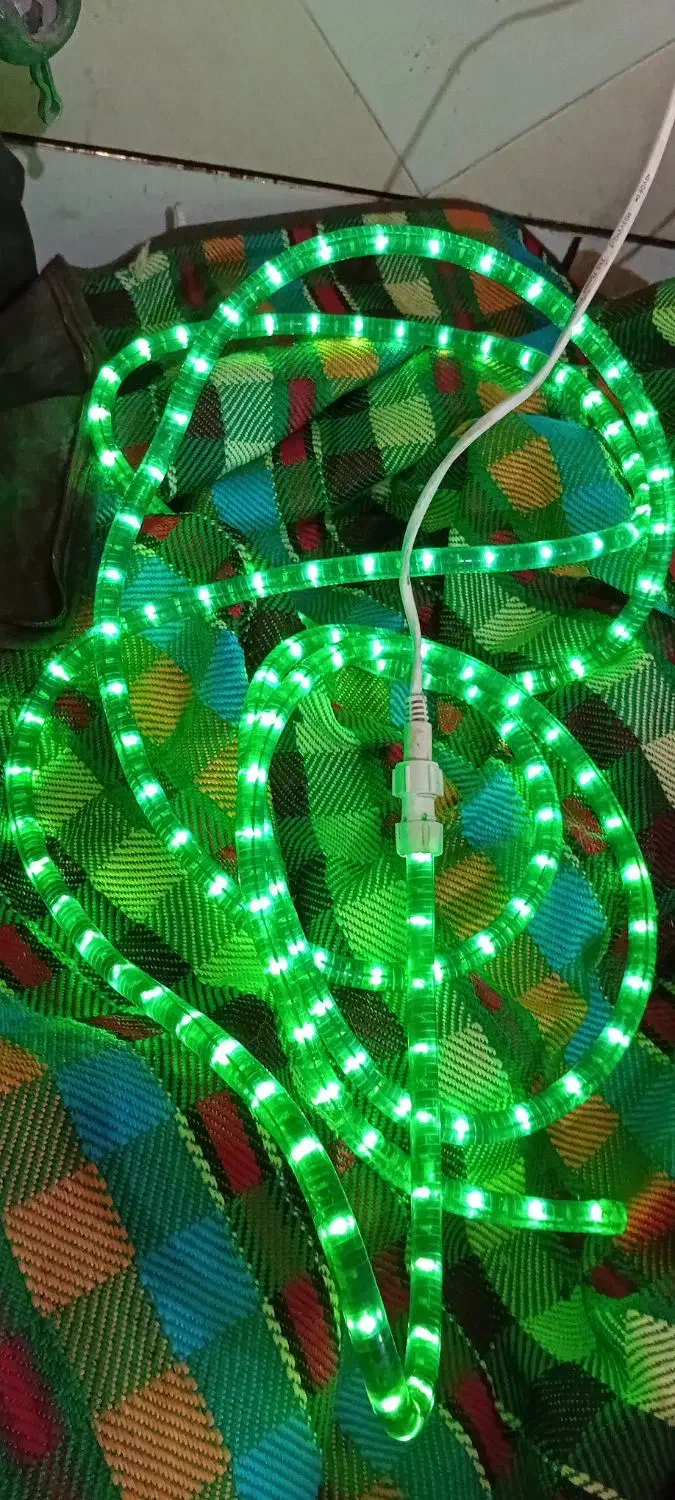 ریسه شلنگی|ریسه و چراغ تزئینی|اهواز, نبوت|دیوار