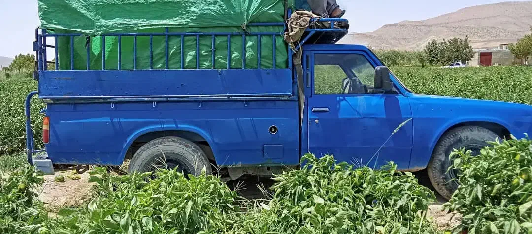 نیسان مدل 88|خودرو سواری و وانت|فیروزآباد (فارس), |دیوار