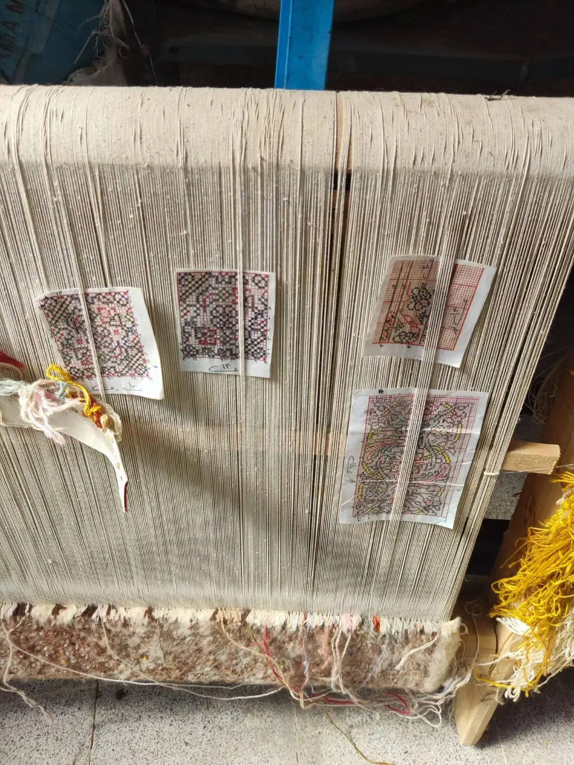 فرش و دارقالی|فرش|ارومیه, |دیوار