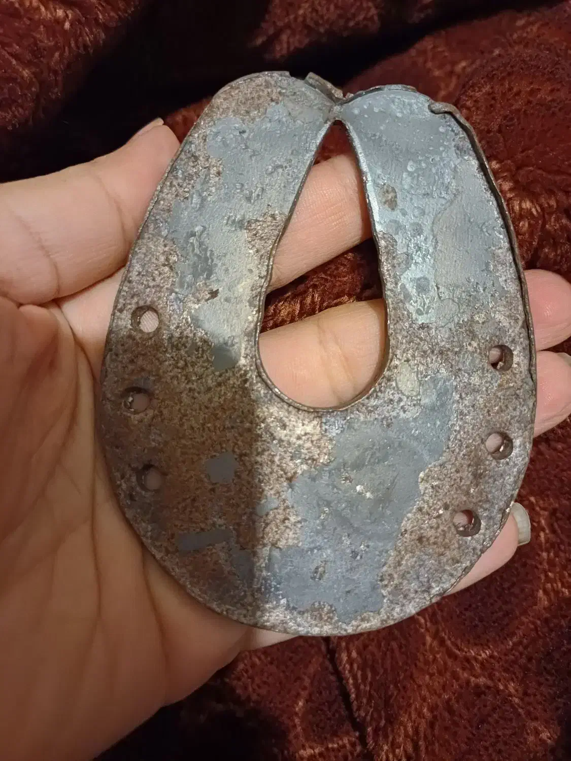 فروش نعل اسب اصل تعداد محدود|اسب و تجهیزات اسبسواری|بوشهر, |دیوار