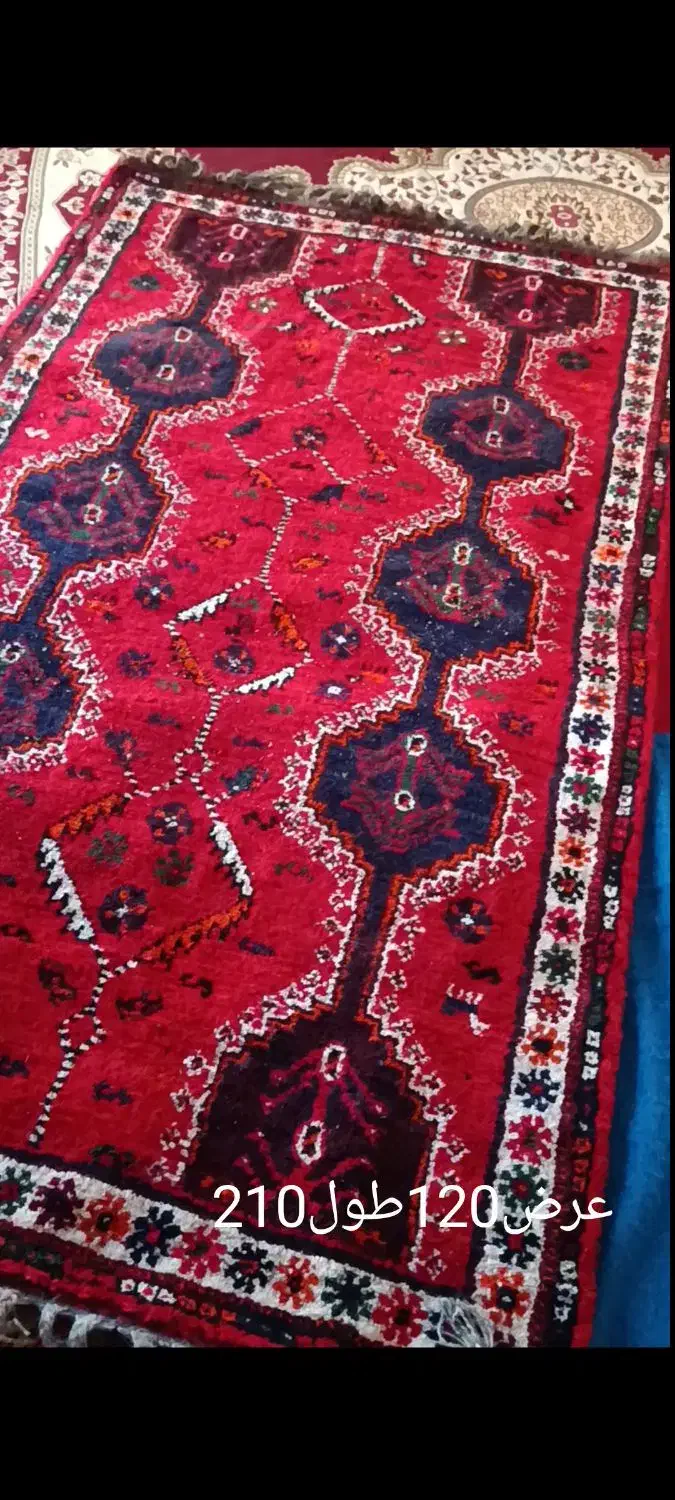 قالی دستبافت پشمی سنتی و نو|فرش|ایزدخواست, |دیوار