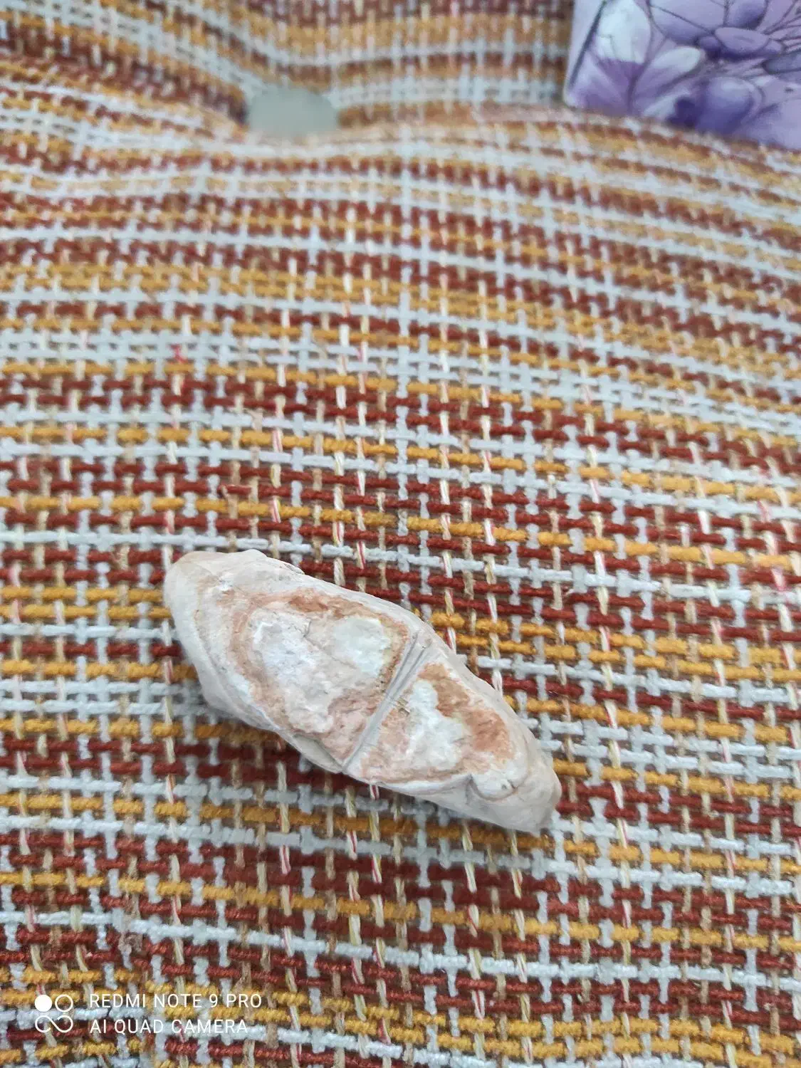 خوب|جواهرات|رویدر, |دیوار