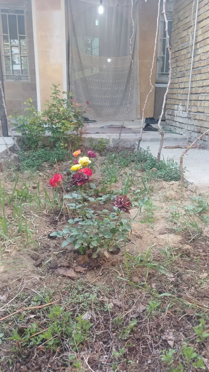 سوییت ویلا باغ|اجارهٔ کوتاهمدت ویلا و باغ|نوشین شهر, |دیوار