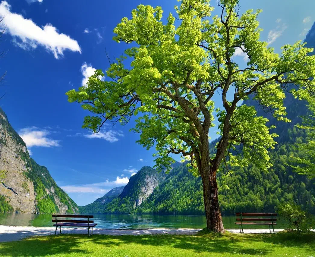 پرده تصویری وچاپی|پرده، رانر، رومیزی|ایرانشهر, |دیوار