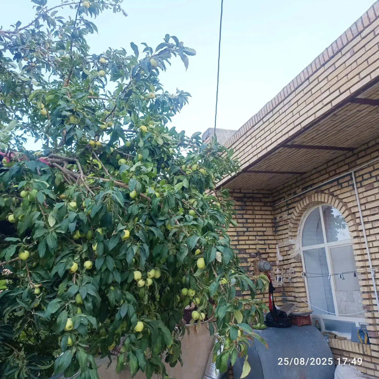 خانه فروشی خضرآباد روستای میل سفید|فروش خانه و ویلا|خضر آباد, |دیوار
