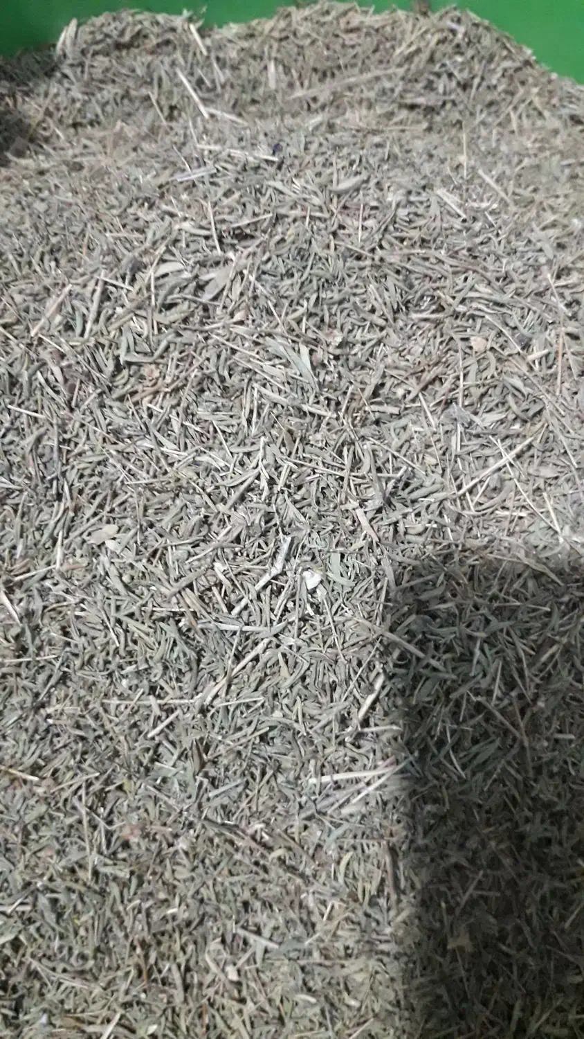 بلکینه|عمدهفروشی|اندیمشک, |دیوار