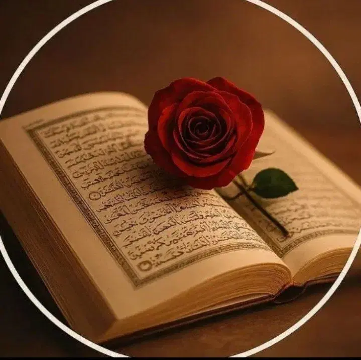 فروش کتاب قران|کتاب و مجله مذهبی|تهران, زعفرانیه|دیوار