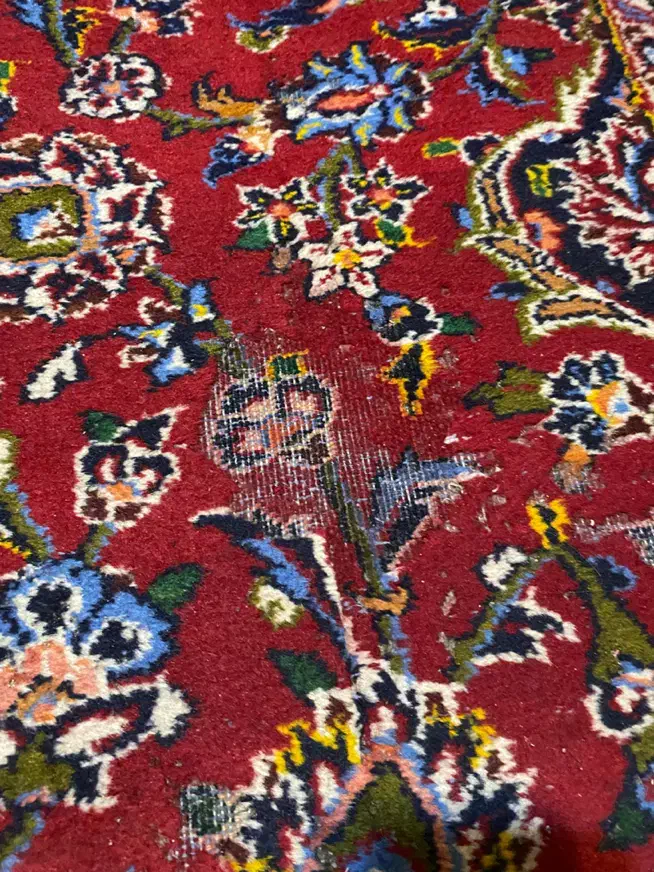 فرش دست بافت ۱۲ متری|فرش|شیراز, سینما سعدی|دیوار