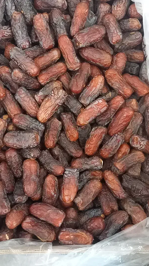 فروش خرمای پیارم درجه۱ و ۲|خوردنی و آشامیدنی|بم, |دیوار