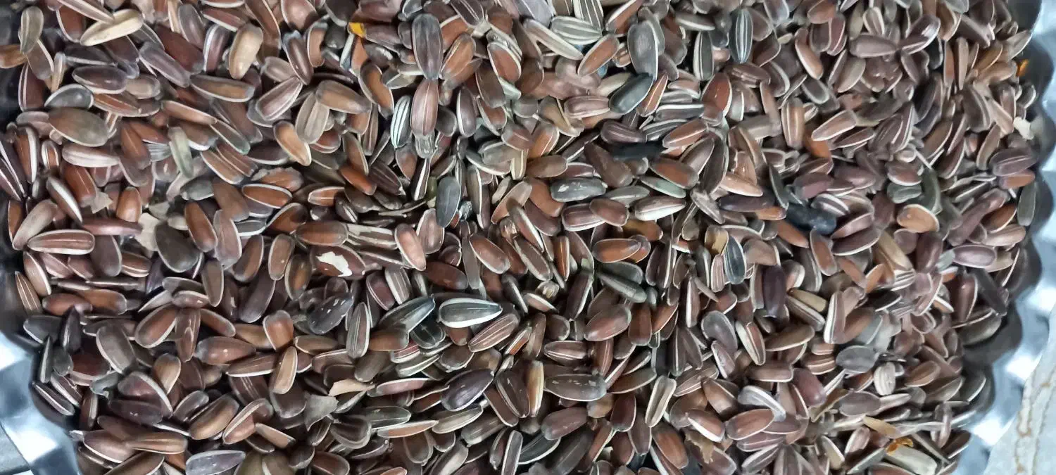 تخمه افتاب گردان|حراج|کدکن, |دیوار