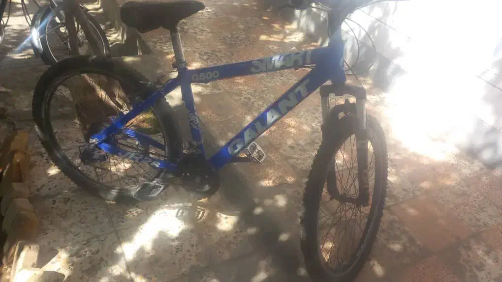 دوچرخه|دوچرخه، اسکیت، اسکوتر|اقلید, |دیوار