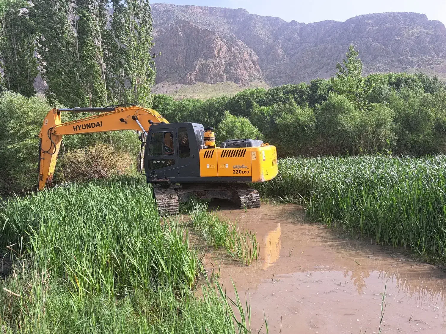 اجاره بیل مکانیکی|خدمات حمل و نقل|صحنه, |دیوار