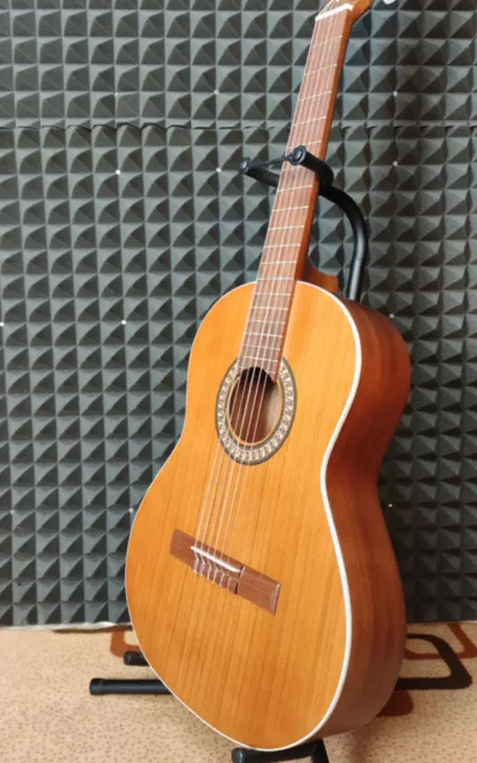 گیتار|گیتار، بیس، امپلیفایر|الوند, |دیوار