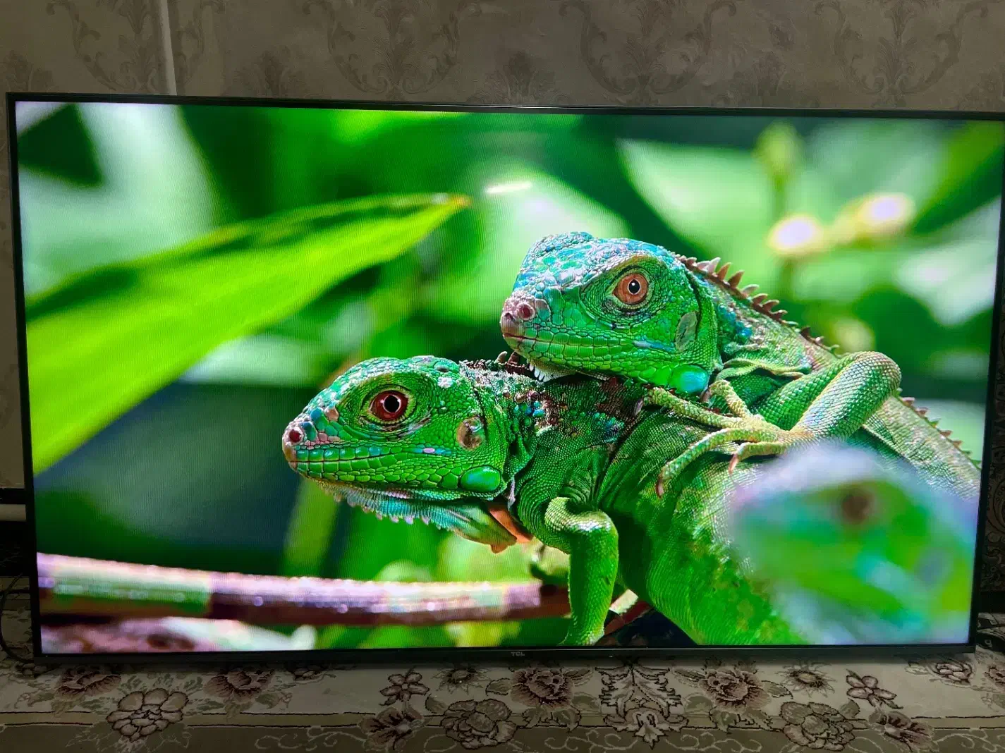 ۵۵ تی سی ال tcl استوک نمایشگاهی فول امکانات|تلویزیون و پروژکتور|تهران, ترمینال غرب|دیوار