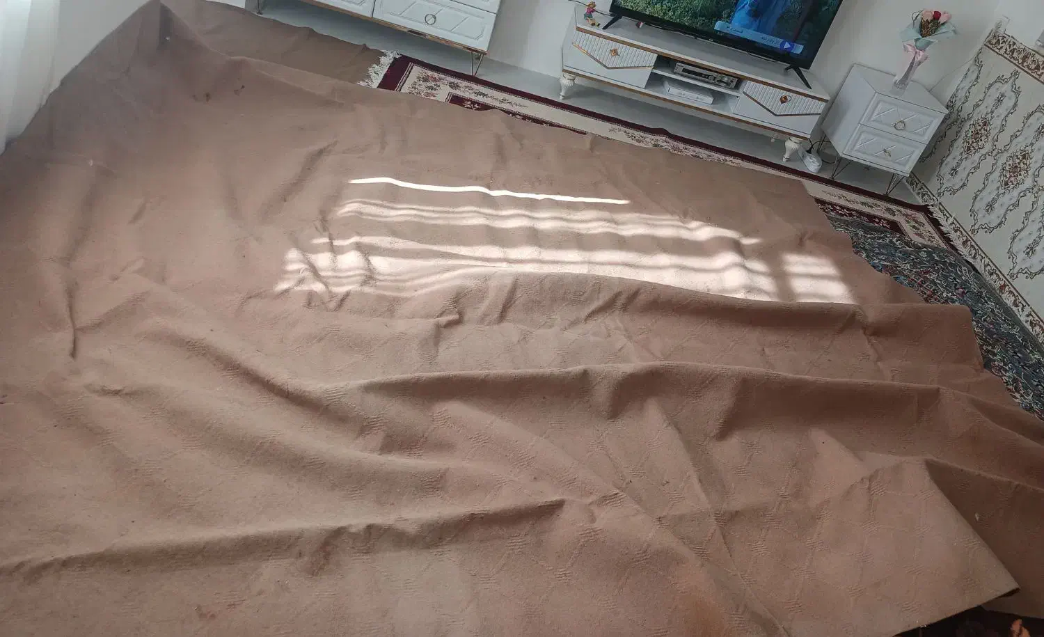 موکت ۱۲متری|موکت|کرمانشاه, |دیوار