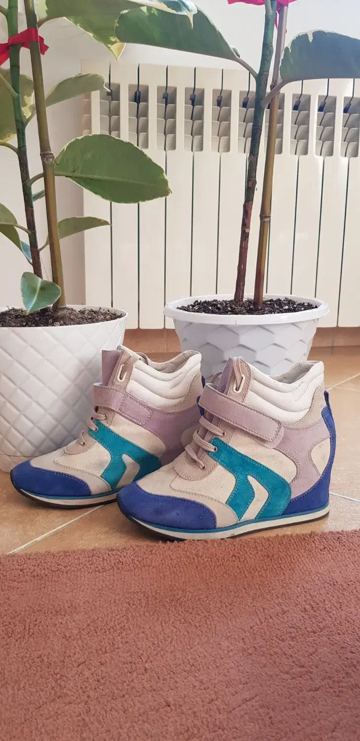 کتانی سایز ۳۶ خارجی|کیف، کفش، کمربند|رشت, جهاد|دیوار